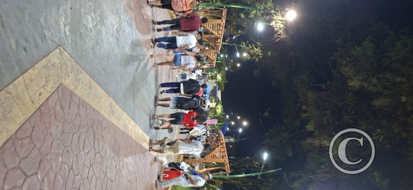Plaza de Armas - central linear park (7)