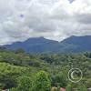 View of the mountains