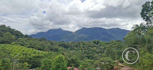 View of the mountains