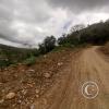 Between Juanjui and Tingo de Saposoa (2)