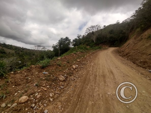 Between Juanjui and Tingo de Saposoa (2)