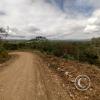 Between Juanjui and Tingo de Saposoa (3)