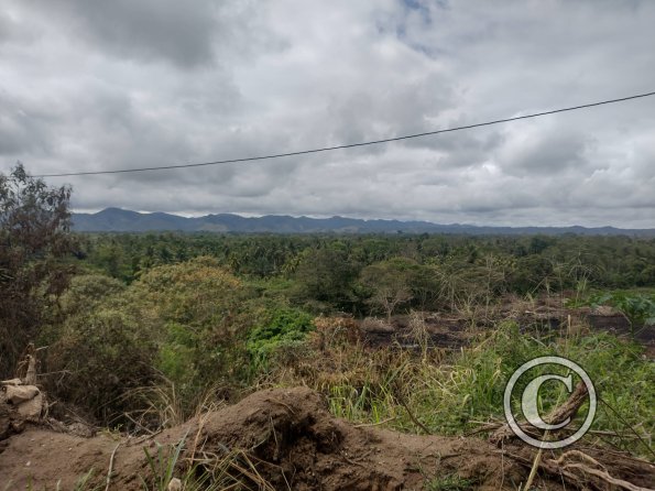 Between Juanjui and Tingo de Saposoa