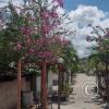 One of the few streets in Tingo de Saposoa (6)