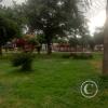 Daniel Hoyle Park