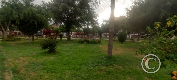 Daniel Hoyle Park