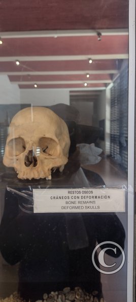 Museo de Sitio Chan Chan 12