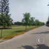 Parque Eterno 3
