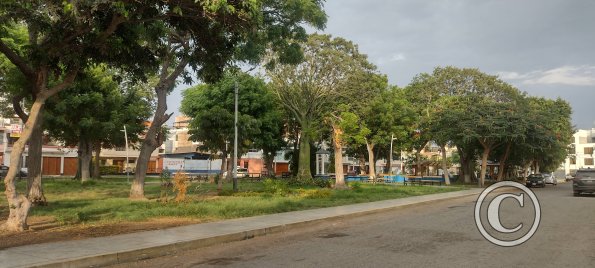 Parque Inmaculada Concepción