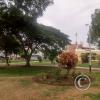 Parque José Bernardo Alcedo