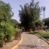 Parque Yonel Arroyo 1