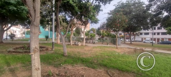 Parque hermanos blancos
