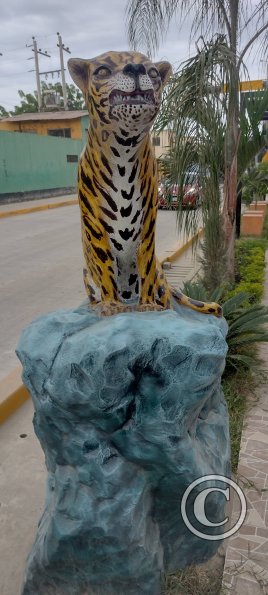 Avenida Tumbes Norte 1