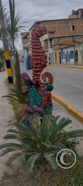 Avenida Tumbes Norte 2