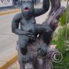 Avenida Tumbes Norte 3