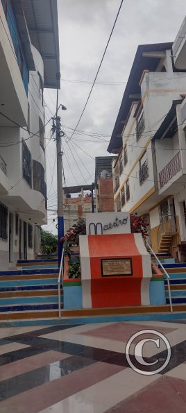Paseo Peatonal al Maestro