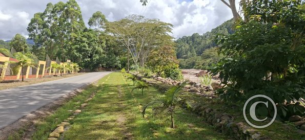 Calle Padre Salas alongside Rio Entaz (2)