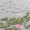 Laguna El Oconal (6)