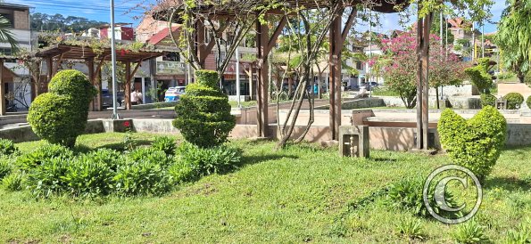 Plaza de Armas at Av Leopoldo Krausse and Jiron Cooperativa (10)