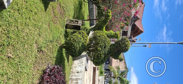 Plaza de Armas at Av Leopoldo Krausse and Jiron Cooperativa (7)