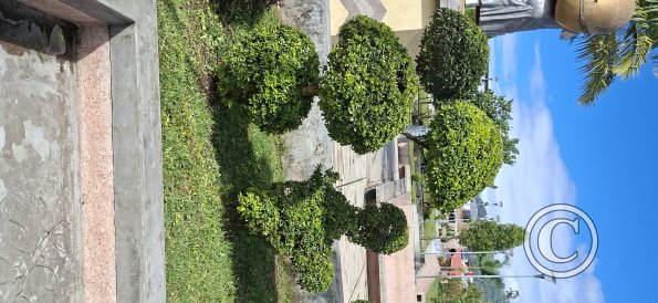 Plaza de Armas at Av Leopoldo Krausse and Jiron Cooperativa (8)