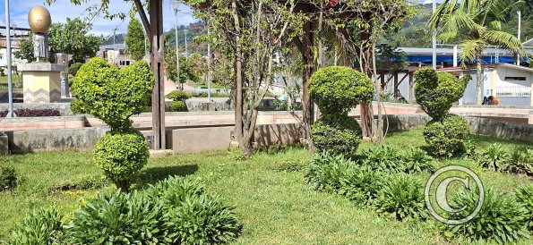 Plaza de Armas at Av Leopoldo Krausse and Jiron Cooperativa (9)