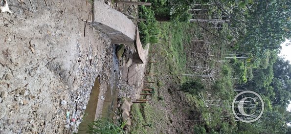 Rio Entaz (3)