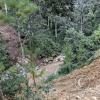 Rio Entaz (4)