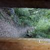 Trail to Cueva de Duende