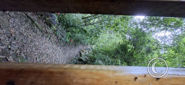 Trail to Cueva de Duende