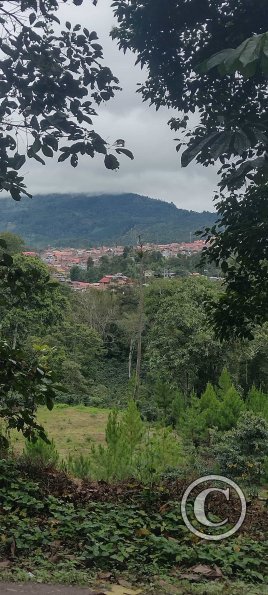 View from Carretera Fernando Belaunde Terry