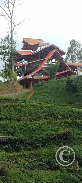 house at Finca la Torre park