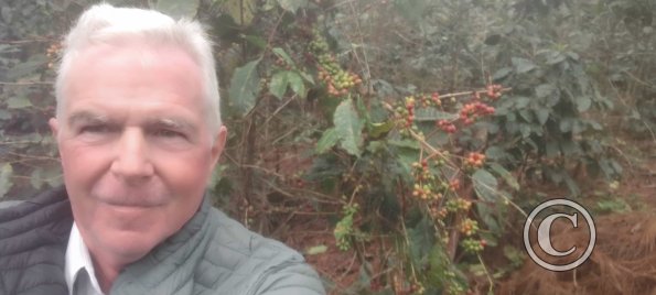 me and coffee trees