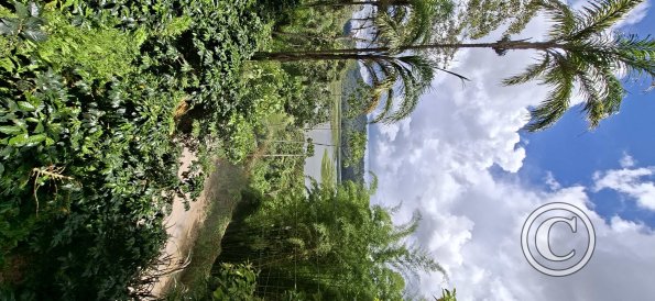 view from Finca de Torre park of the lake