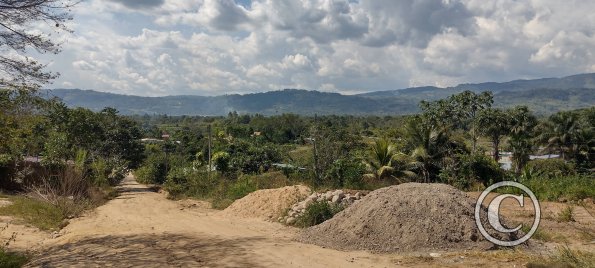In the western neighborhood (3)