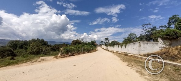 In the western neighborhood (4)