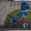 Mural across from the plaza (2)
