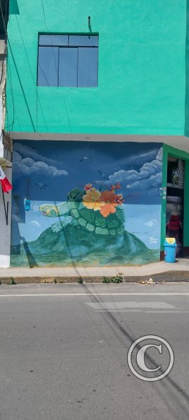 Mural across from the plaza (7)