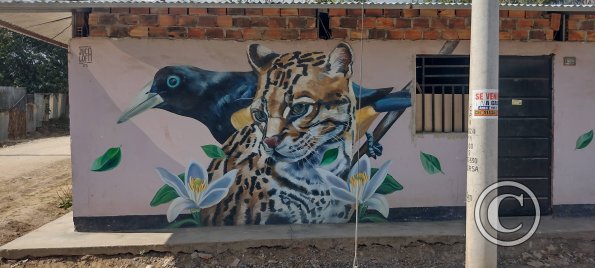 Mural on Ruta SM-113 one block east of the plaza