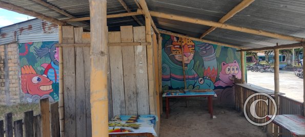 Mural on side street near the plaza (2)