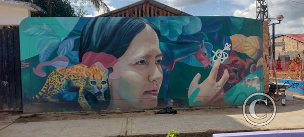 Mural on street 2 blocks from the plaza (2)