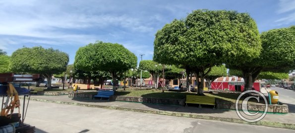The Town Plaza (2)