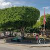 The Town Plaza (3)