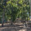 park, new, 3 blocks from the plaza (2)