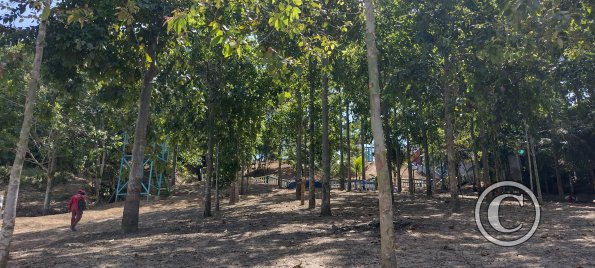 park, new, 3 blocks from the plaza (2)