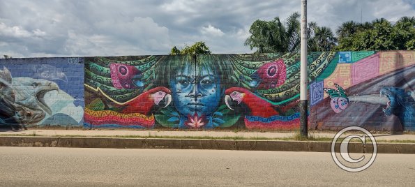 Mural at Augusto Freyre and Cahuapanas (2)