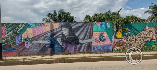 Mural at Augusto Freyre and Cahuapanas (3)