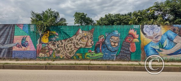 Mural at Augusto Freyre and Cahuapanas (4)