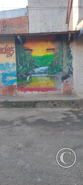Mural at Calle Arica near Julio C. Arana