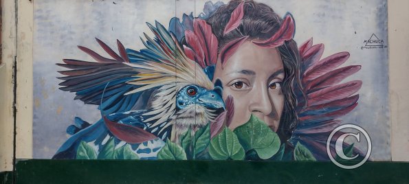 Mural on Jiron Condamine near Calle Libertad